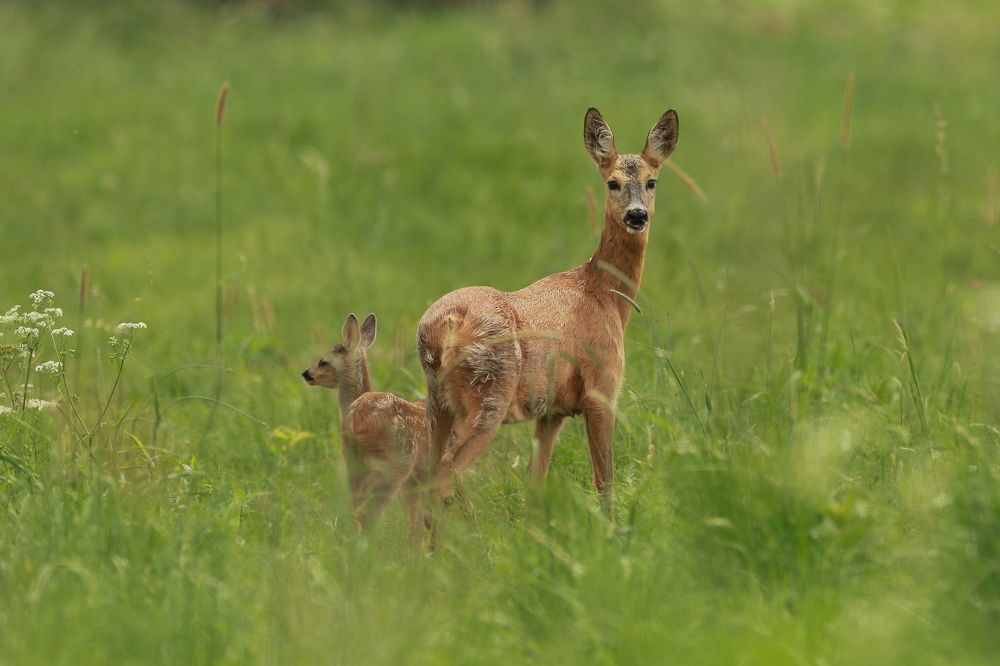 Photograph by Piotr Warzecha