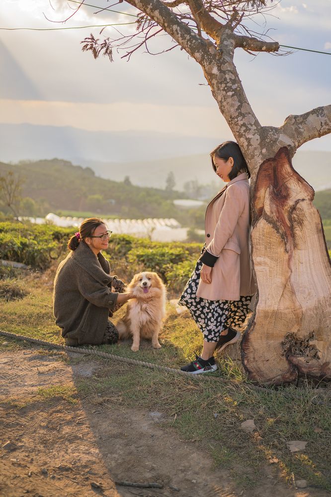 Photograph by Hoai Anh Dang