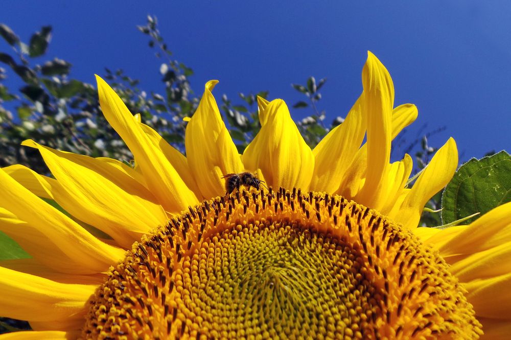 Photograph by Юлия Картушина