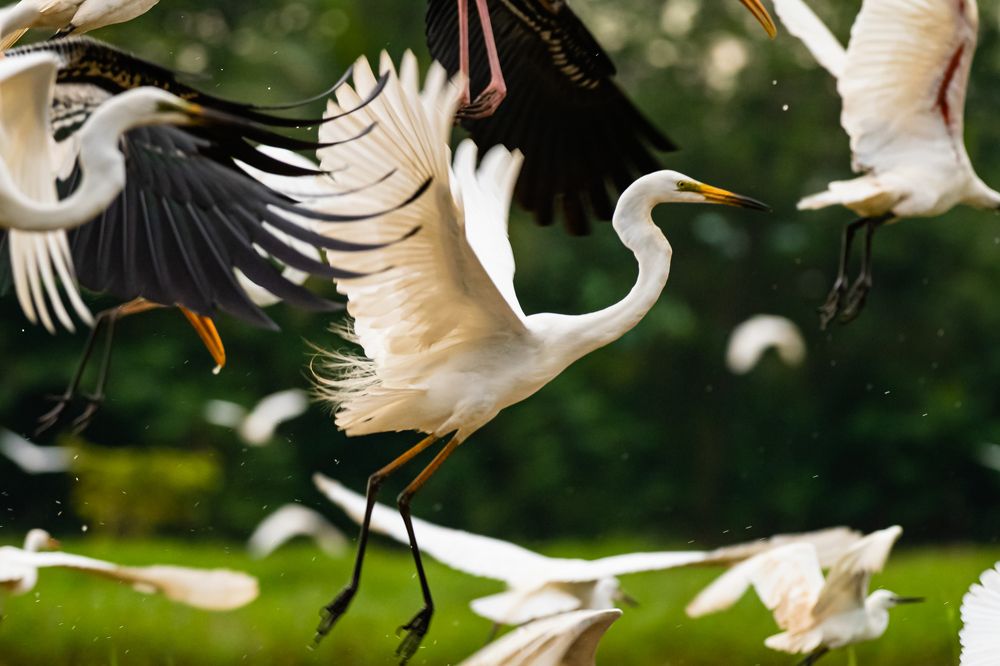 Photograph by Sampath Perera