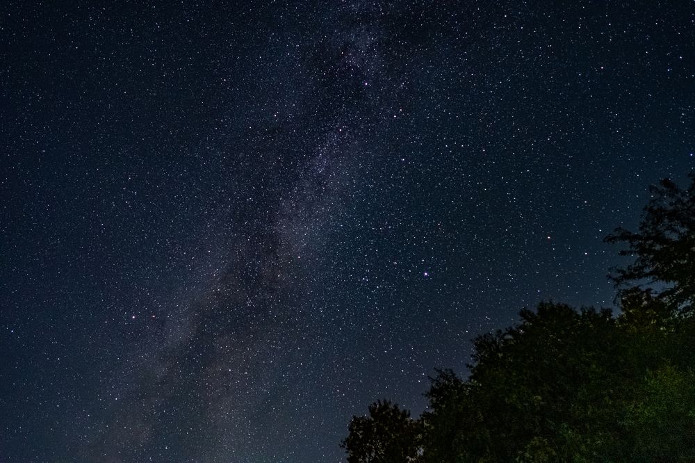 Photograph by Алексей Горбунов