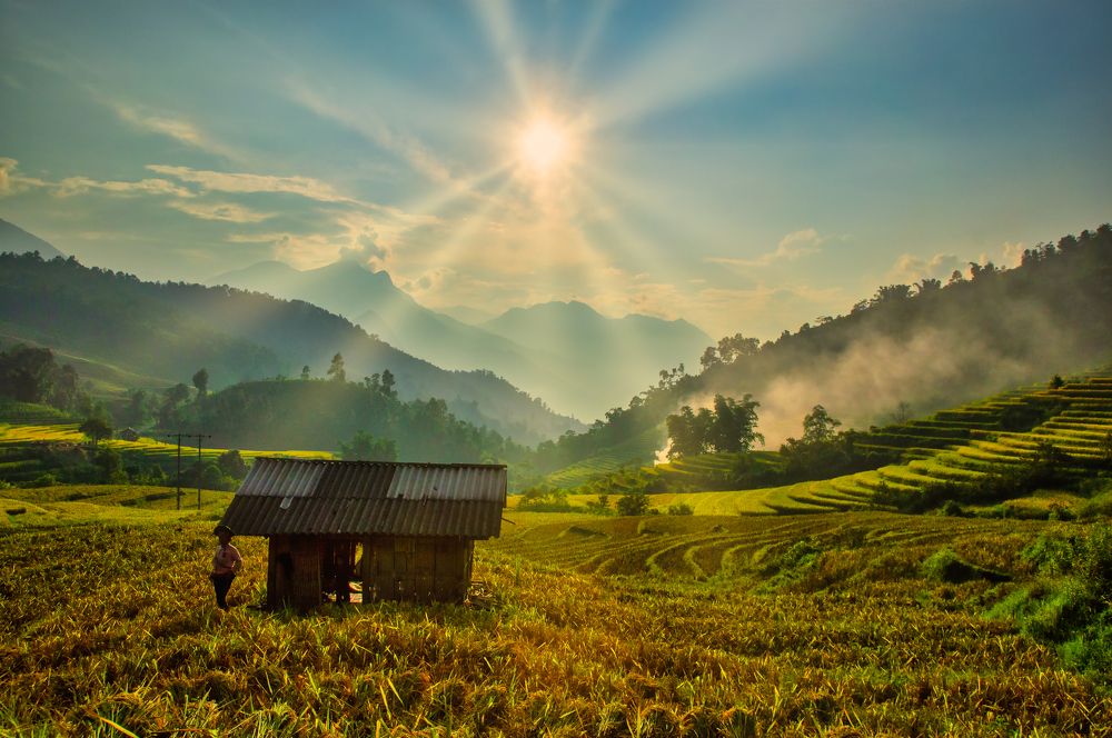 Фотография автора Trần Minh Thìn