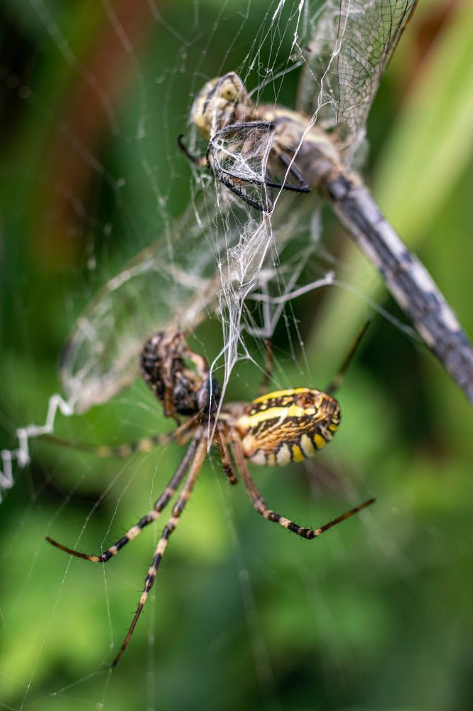 Photograph by Наталья Вялых