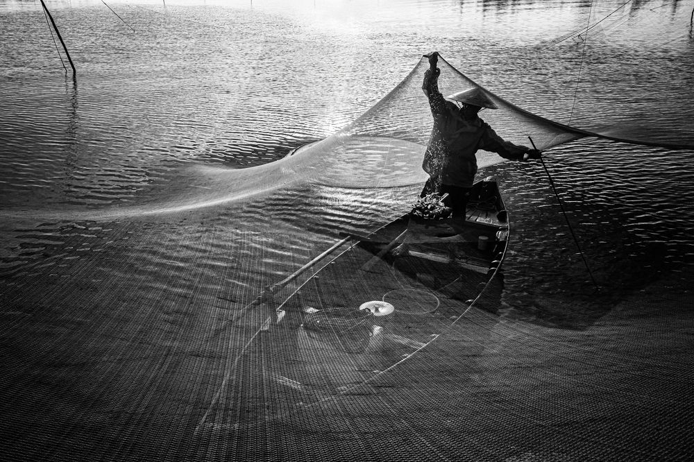 Фотография автора Võ Văn Tiến