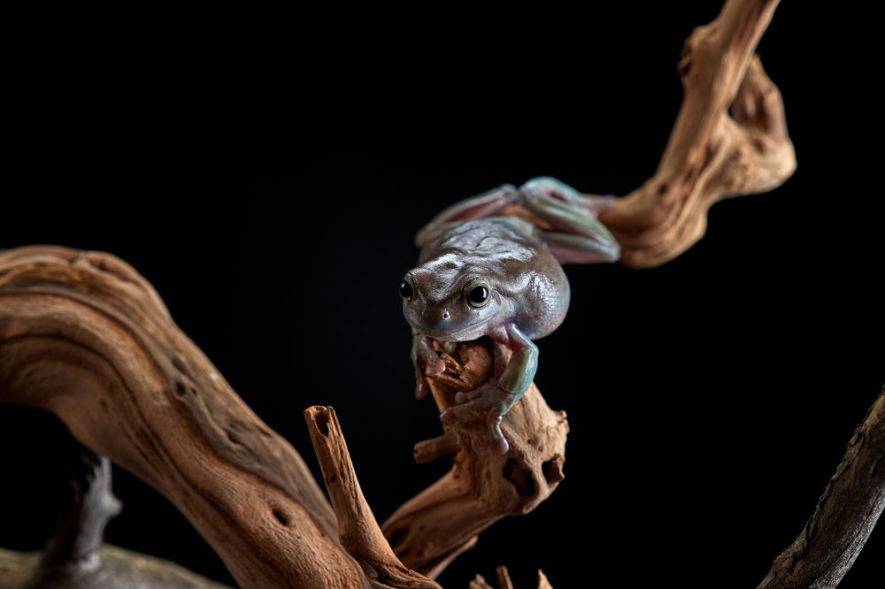 Photograph by Лана Полякова