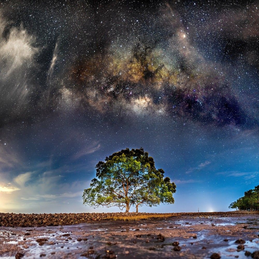 Let's see the stars together