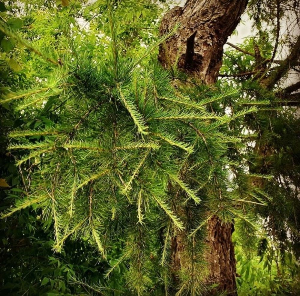 Photograph by Елена Лещева