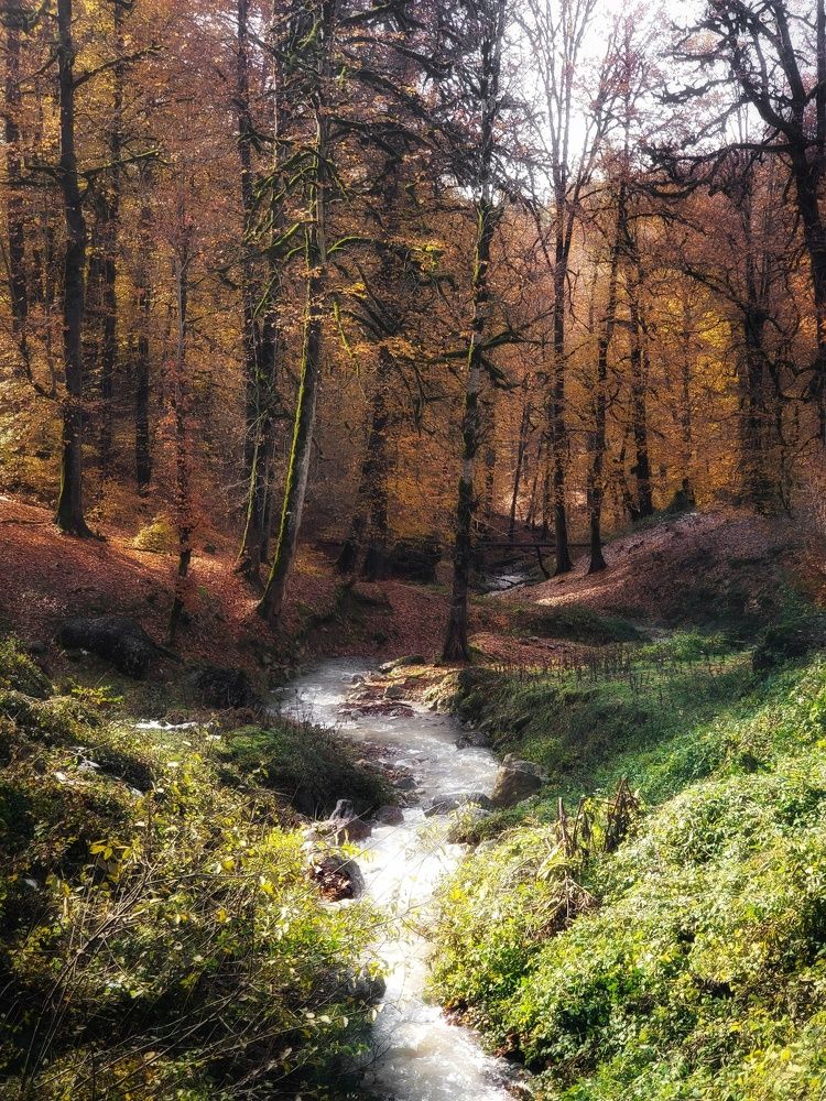 Photograph by amir shadpoor