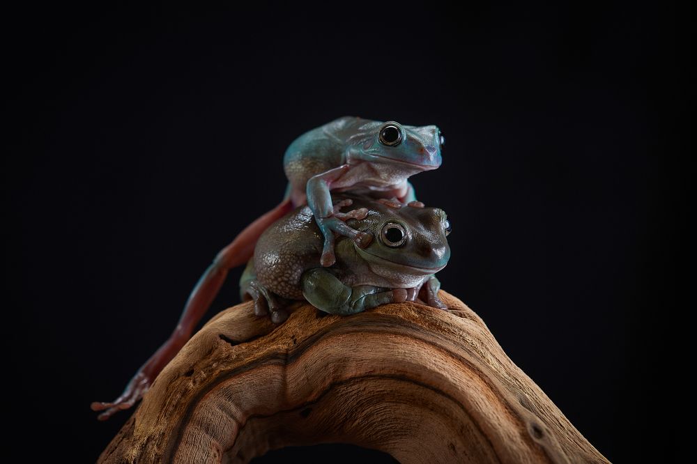 Photograph by Лана Полякова