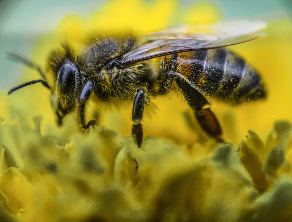 Photograph by Евгения Михайлова