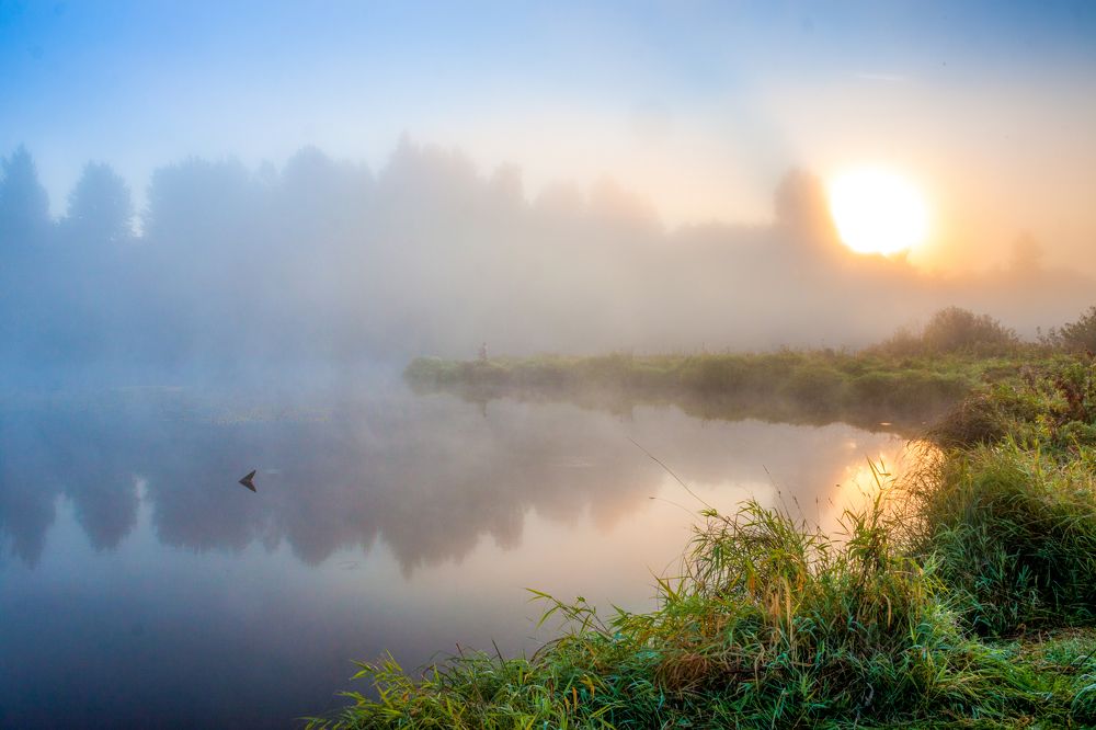 Photograph by Евгений Григорьев