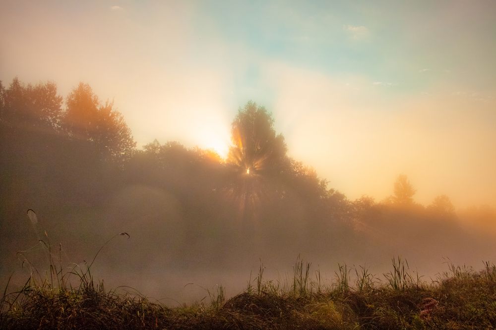 Photograph by Евгений Григорьев