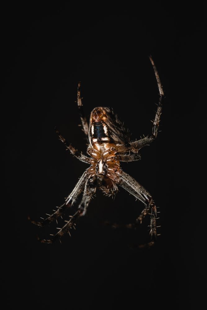 Photograph by Анастасия Киселева