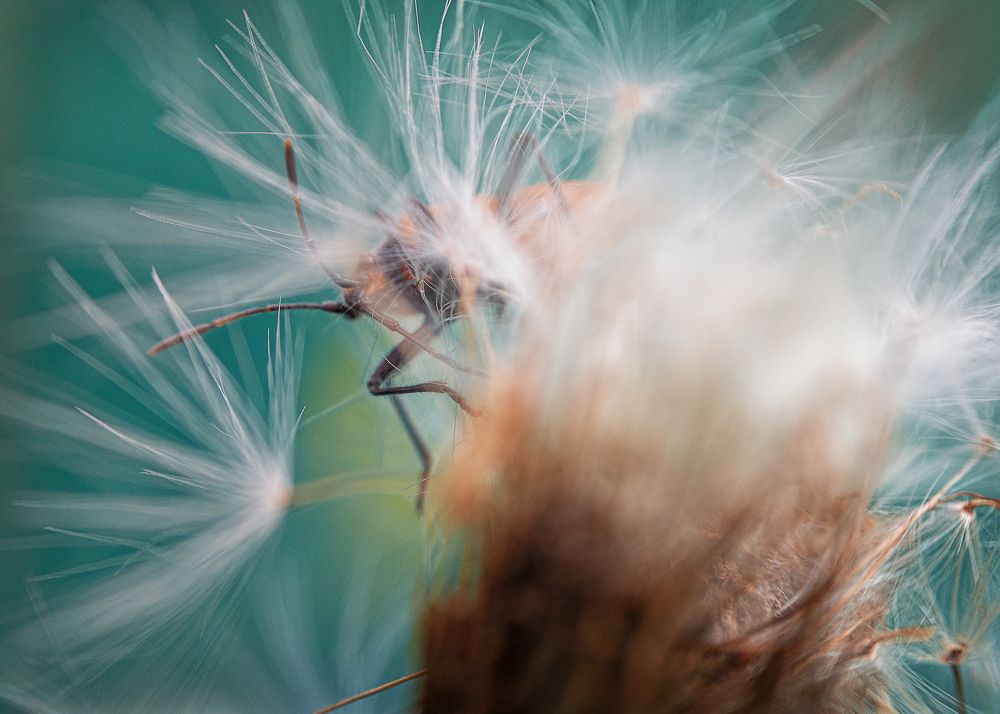 Фотография автора владимир шаронов