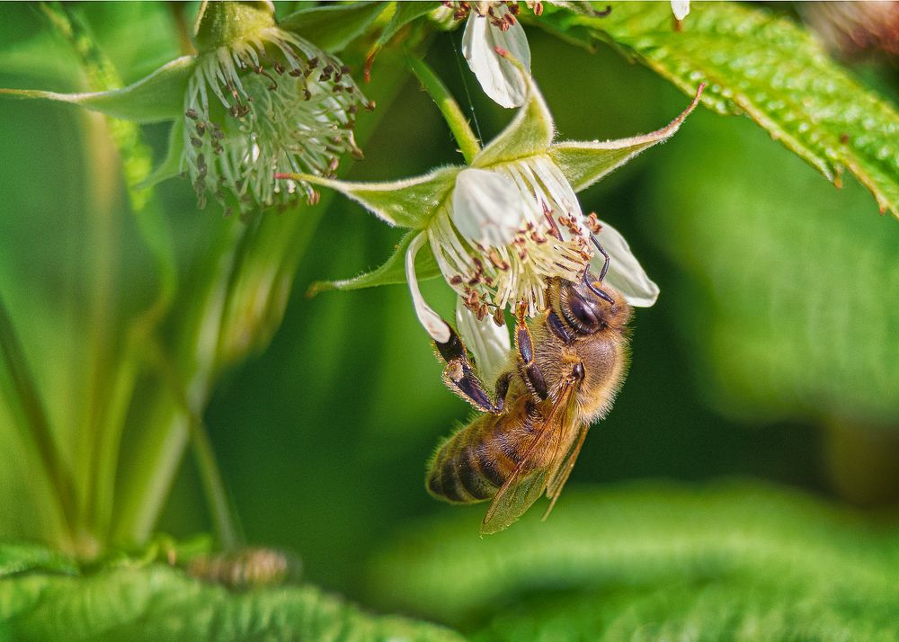 Фотография автора владимир шаронов