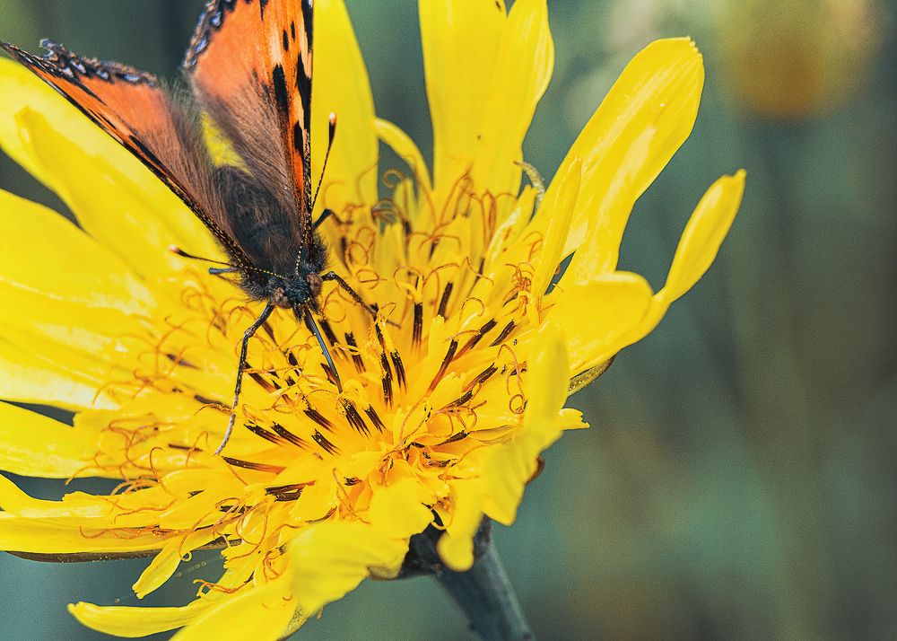 Фотография автора владимир шаронов