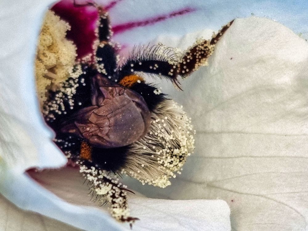 Photograph by Sandor Zoltan Gal