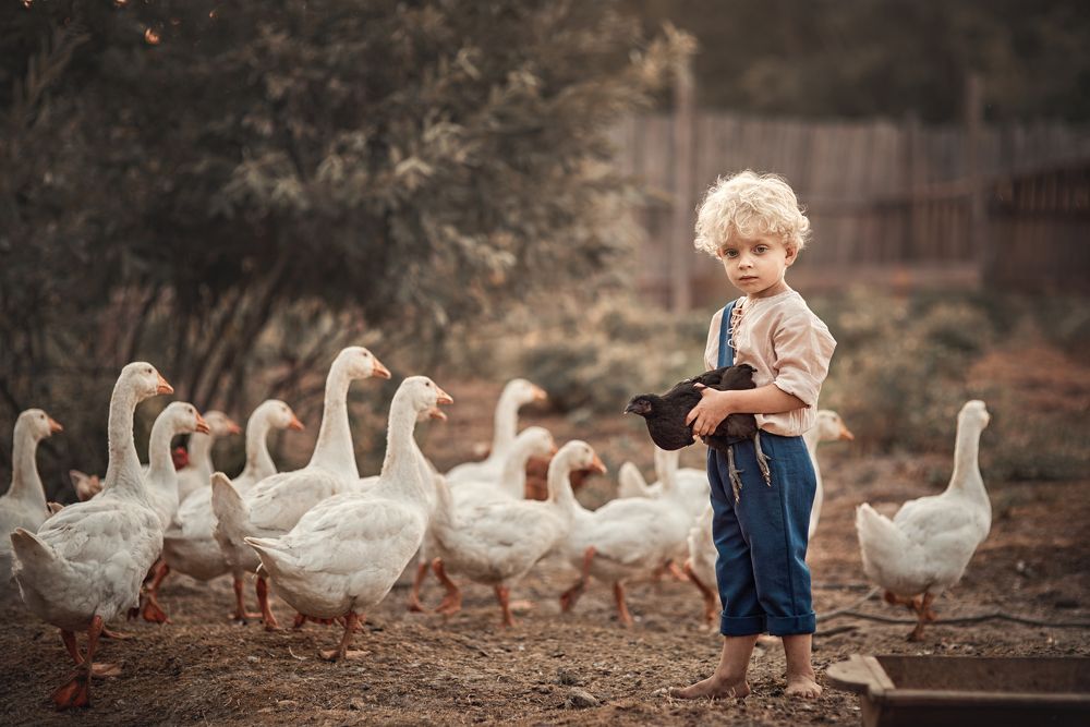 Photograph by Ольга Краснова