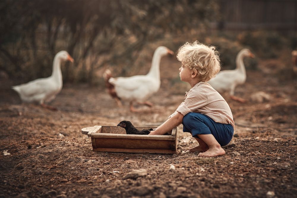 Photograph by Ольга Краснова