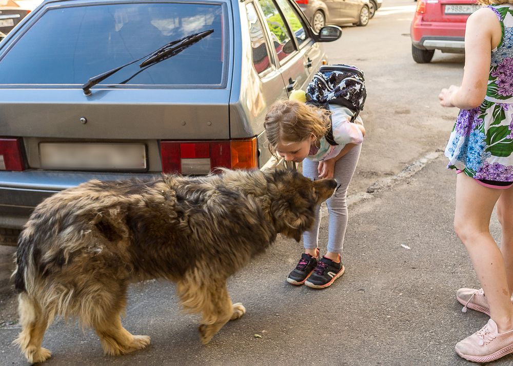 Фотография автора владимир шаронов