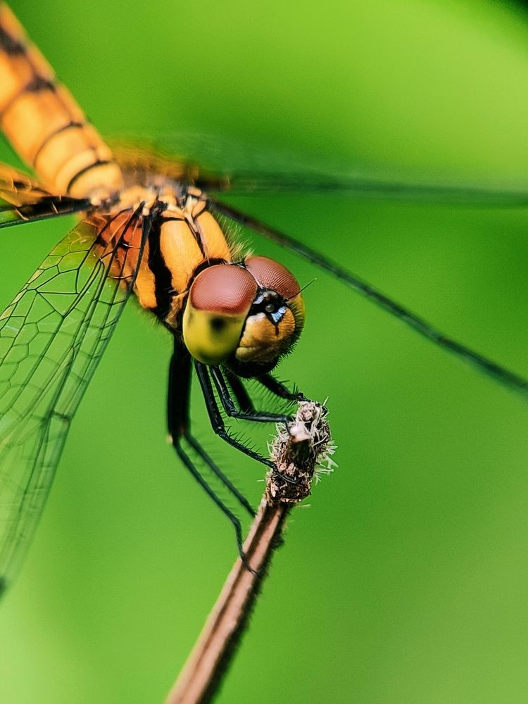 Photograph by Saurav Gupta