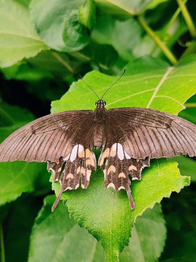 Photograph by Saurav Gupta