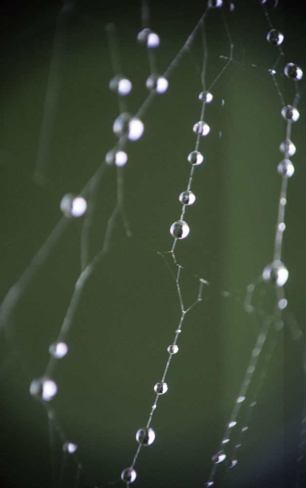 Photograph by Евгения Михайлова