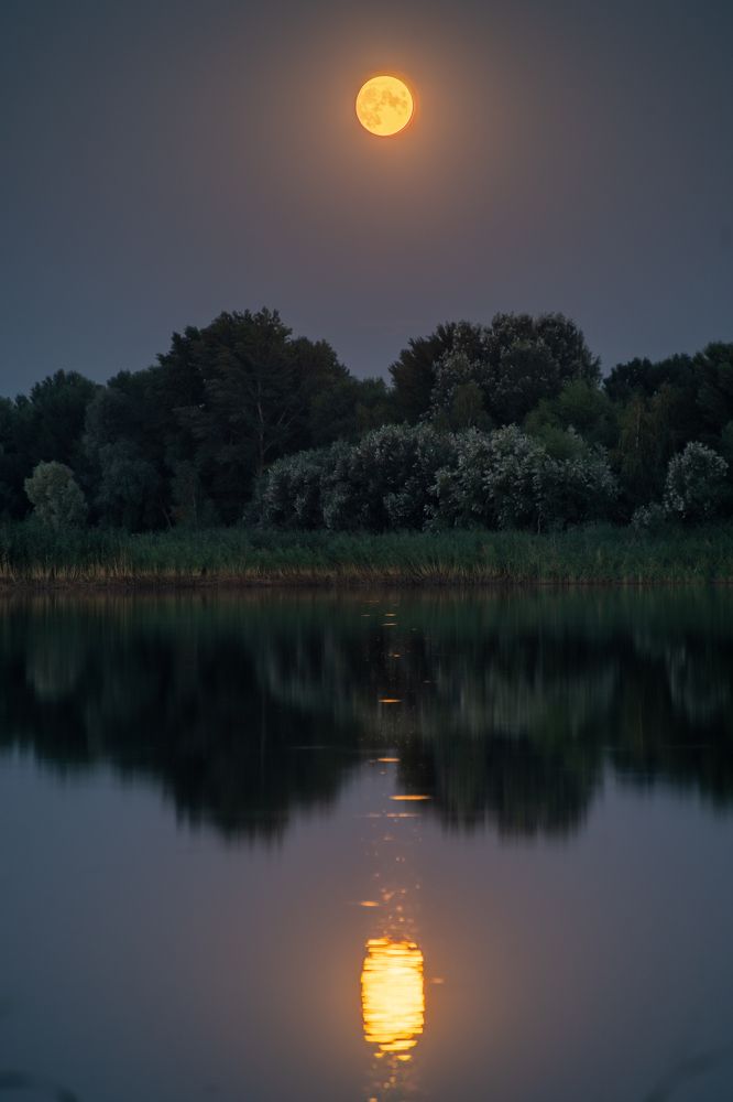 Photograph by Сергей Солодников