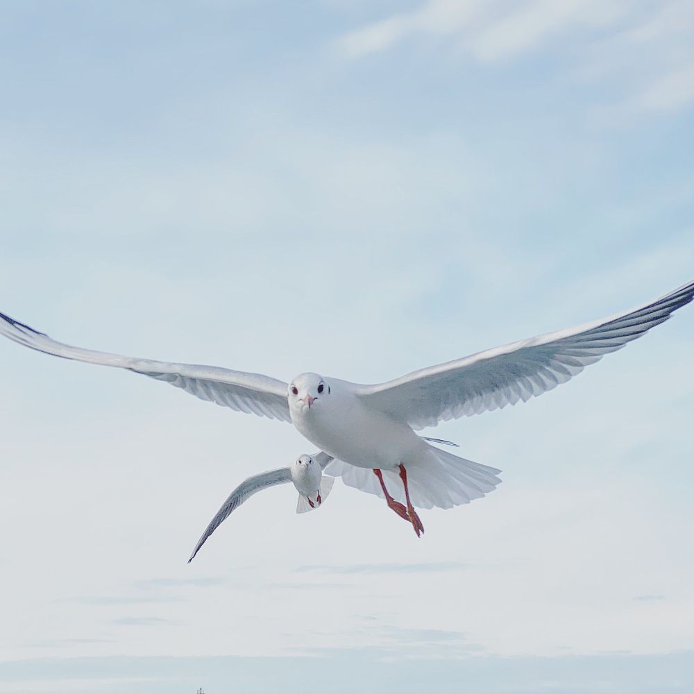 Photograph by Юлия Смирнова