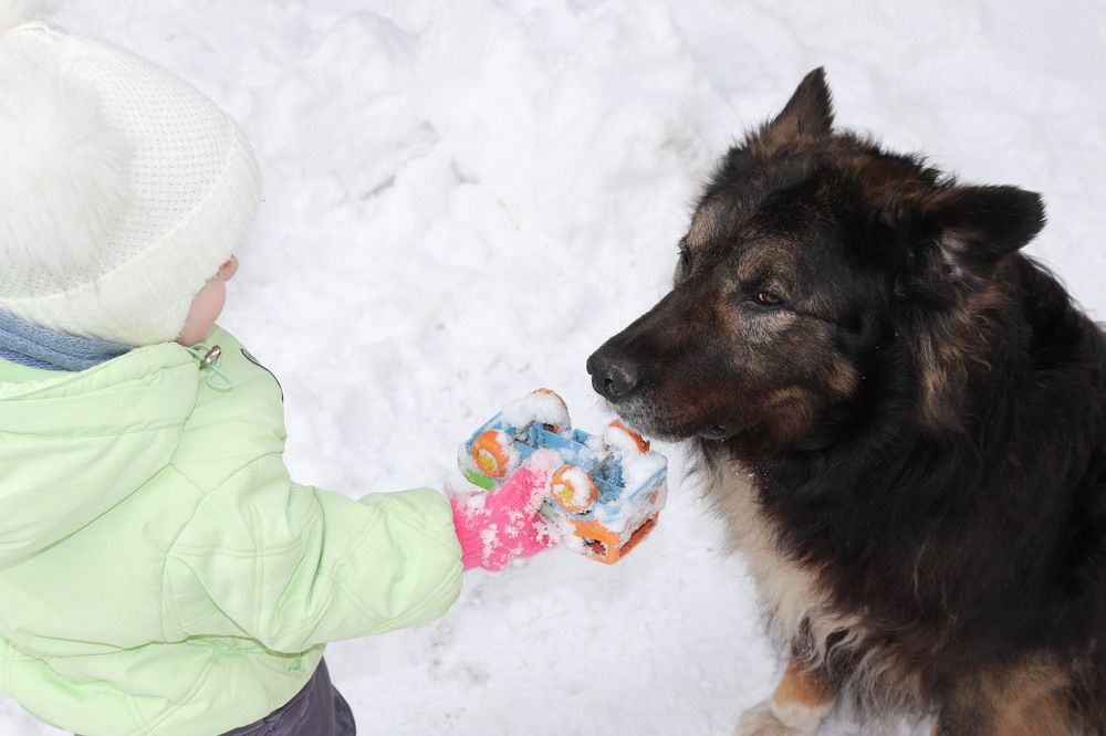 Photograph by Федоренко Элеонора
