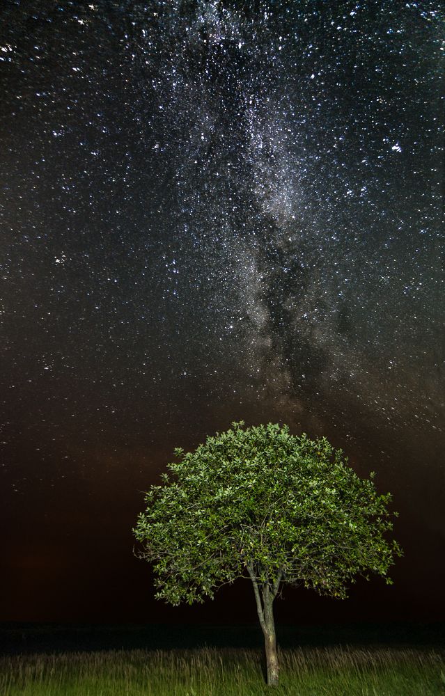 Photograph by Илья Костин