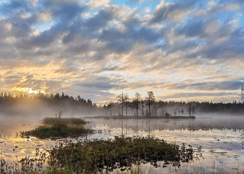 Photograph by Дарья