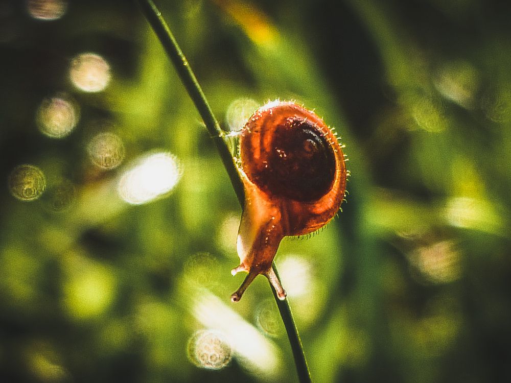 Photograph by Анна Федотова