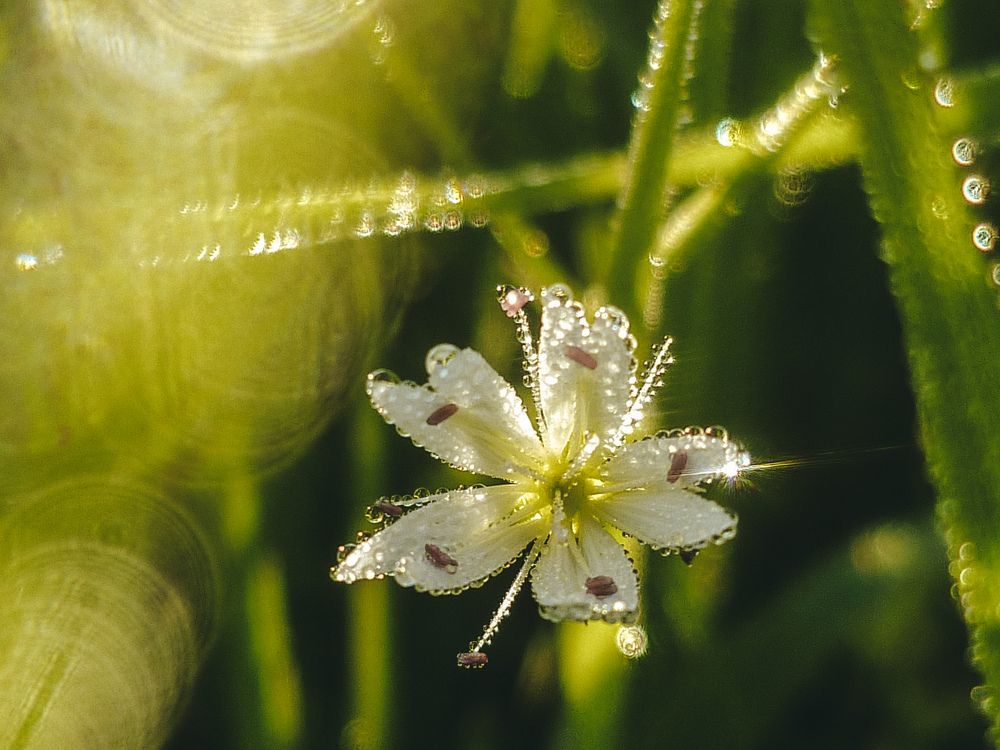 Photograph by Анна Федотова