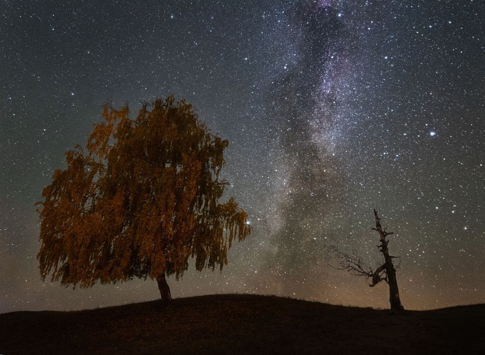 Photograph by Алёна Ивочкина