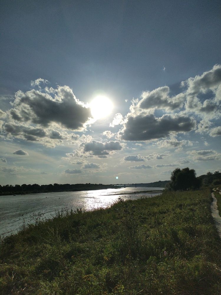 Photo #6456665