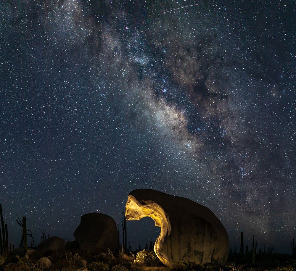 Photograph by Bill Phelps