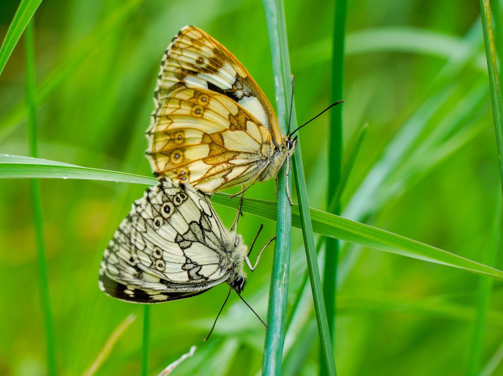 Photograph by Reinhold Seibel