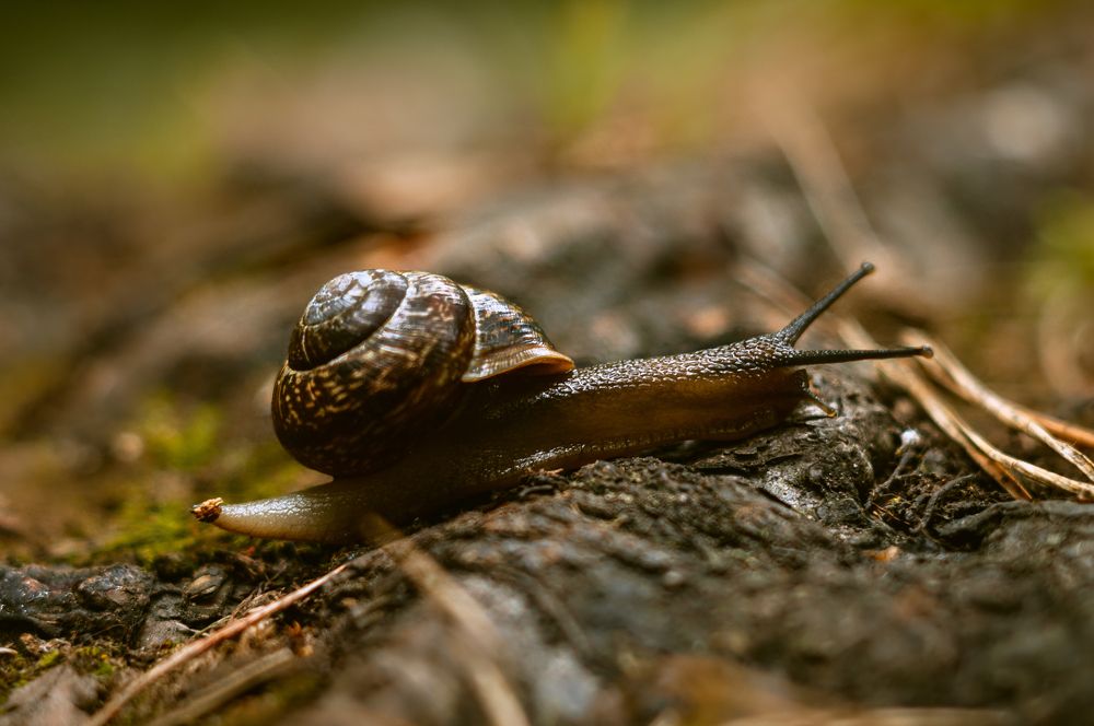 Photograph by Елизавета Белоусова