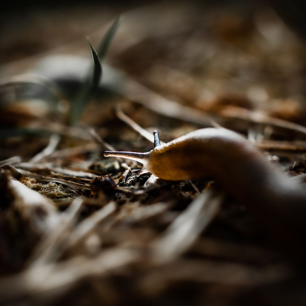 Photograph by Елизавета Белоусова