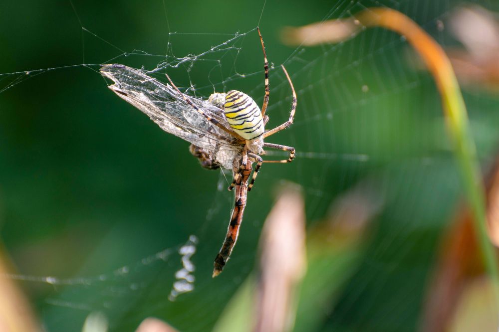 Photograph by Наталья Вялых