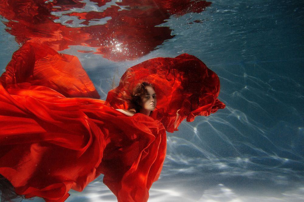 Фотография автора Анастасия Яковлева