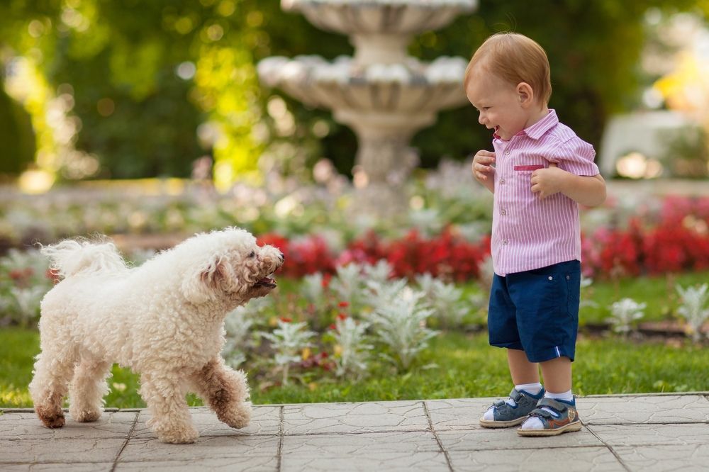 Photograph by Anton Surkov