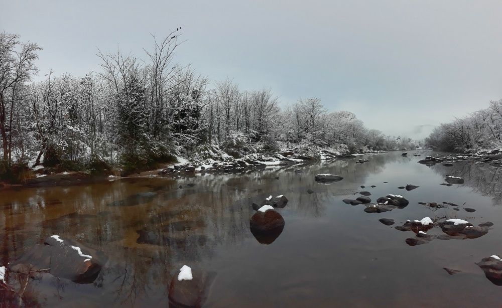 Photograph by Claudia Gadea