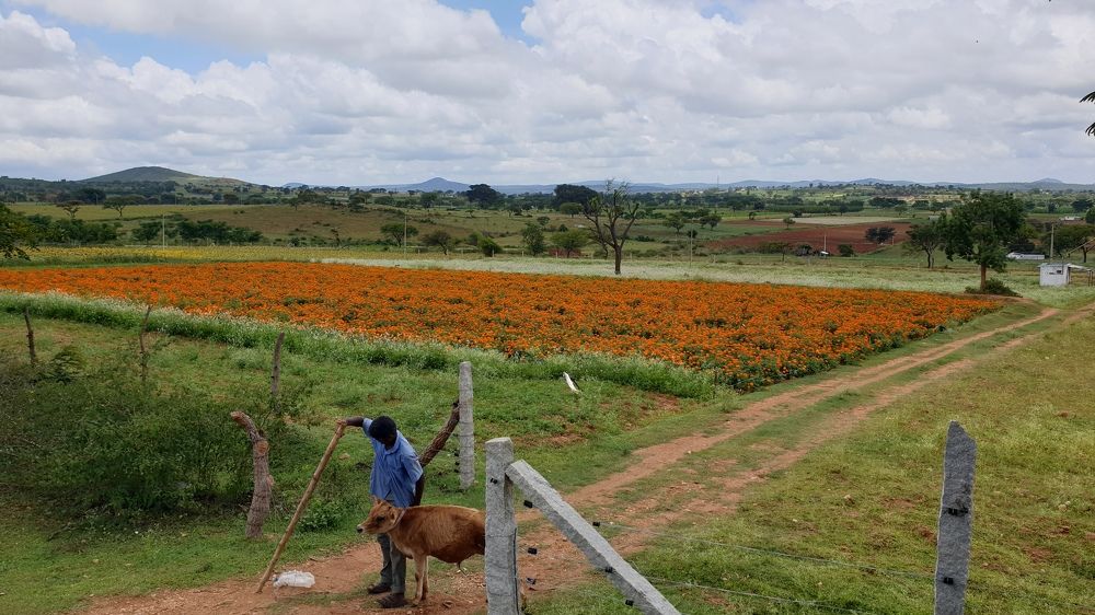 Photograph by John Robert