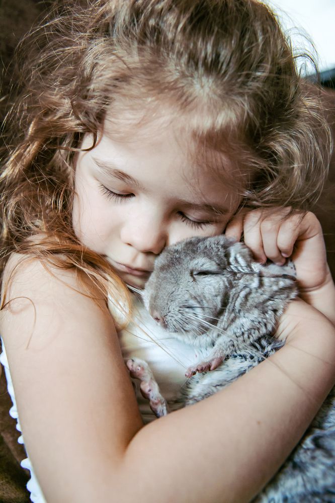 Фотография автора Юлия Соболева