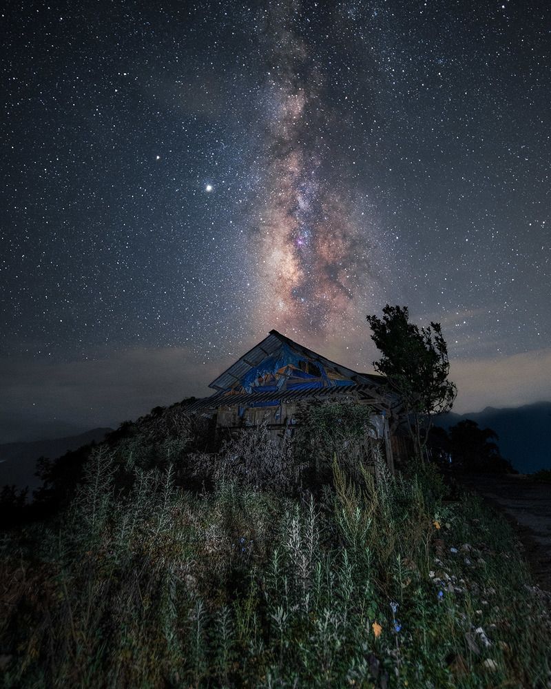 Фотография автора LINH TRAN