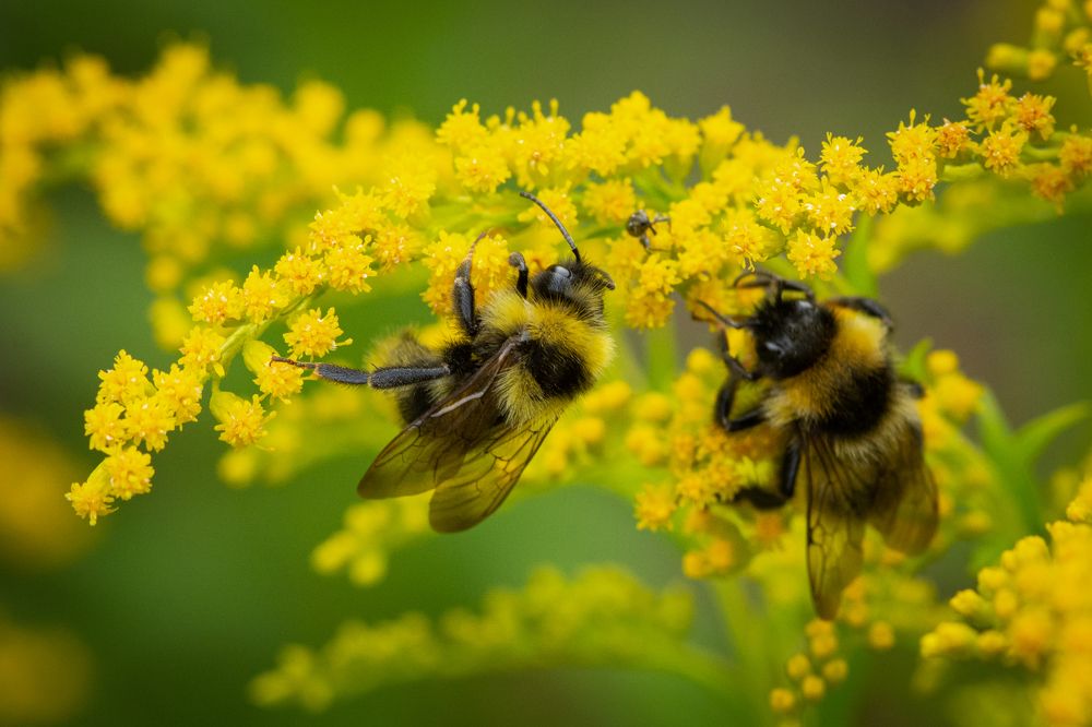 Photograph by София Беляева