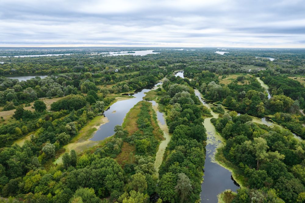 Photograph by Николай Попов