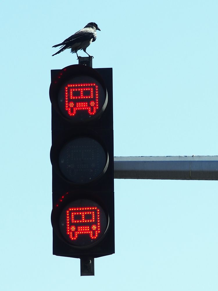 Photograph by Abdolreza Aleagha